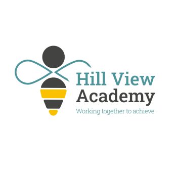 Hill View Academy logo design for schools case study